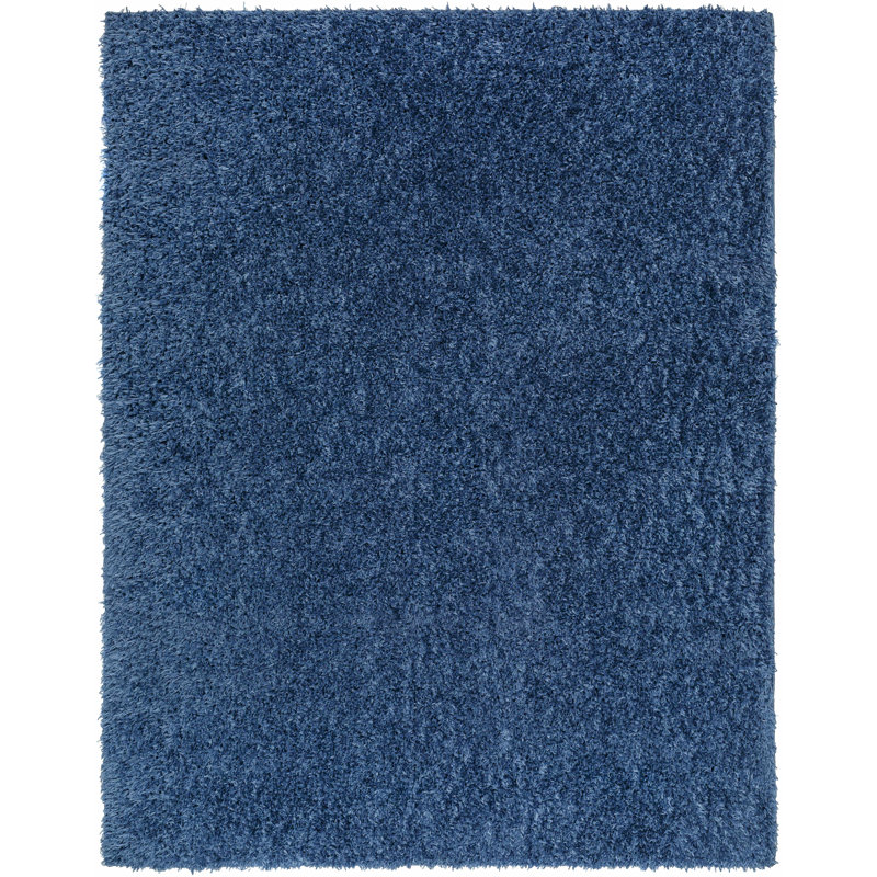 Basics by Wayfair™ Solid Shag Area Rug, Rectangle 7'10" x 10'