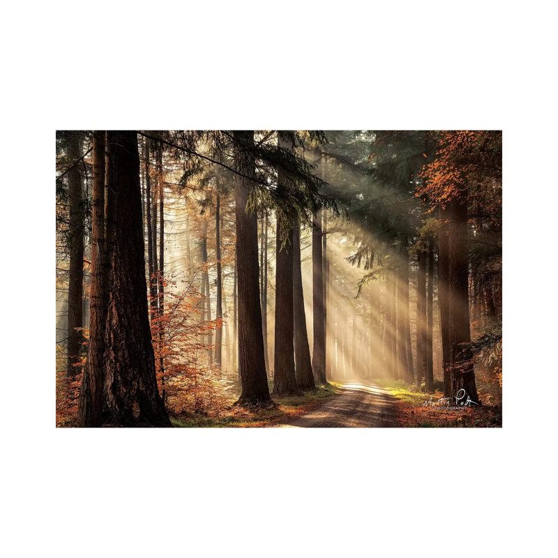 «Fresh Autumn Light» par Martin Podt - reproduction d'art, Toile tendue, H 26 po x l 40 po x 1,5 po