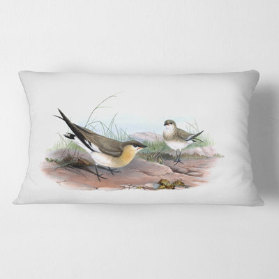 Bird Illustration II Rectangular Pillow Cover & Insert