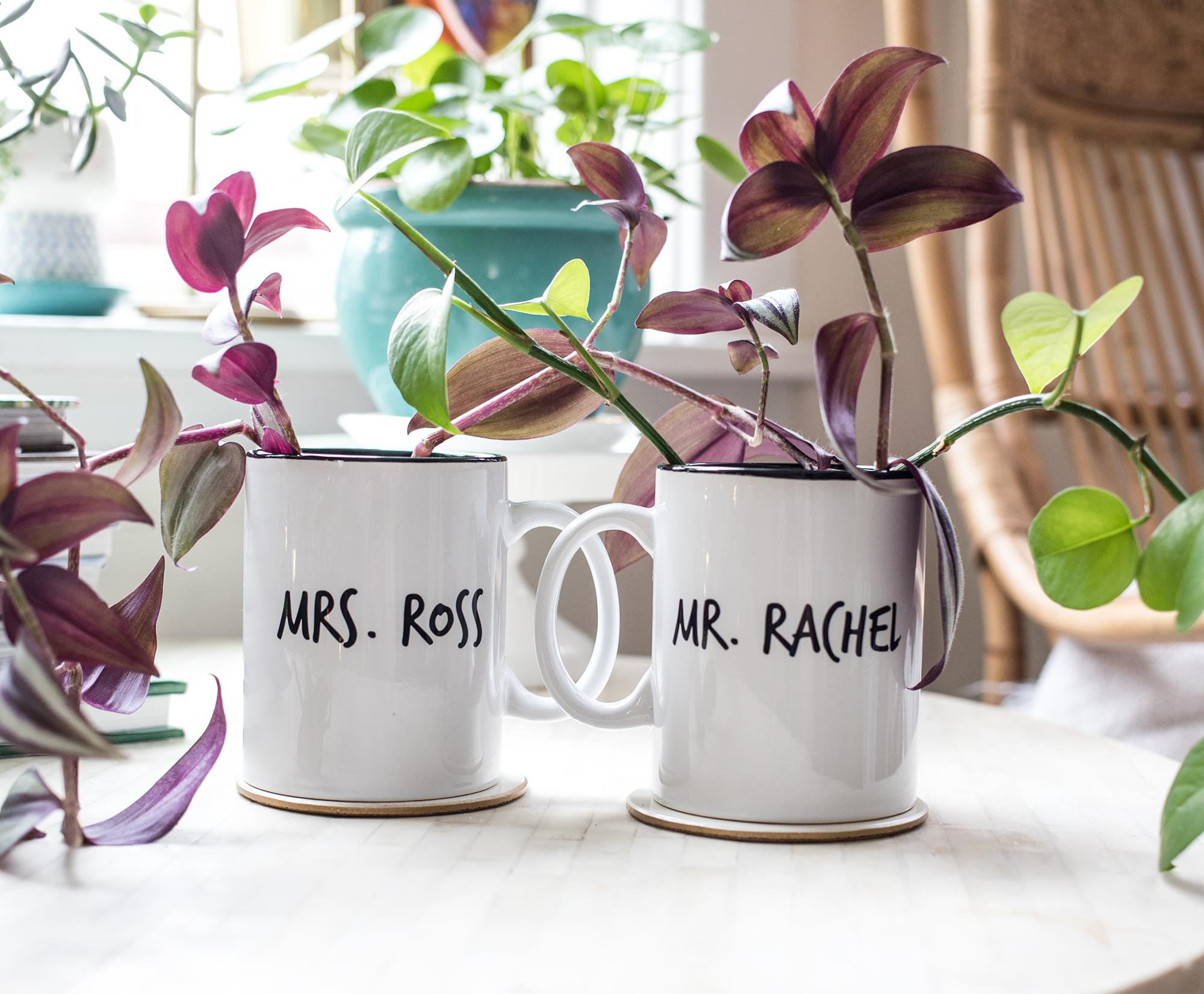 https://assets.wfcdn.com/im/45616877/compr-r85/2054/205427951/friends-mr-rachel-whiskers-and-mrs-ross-moustache-double-sided-mugs-set-of-2.jpg