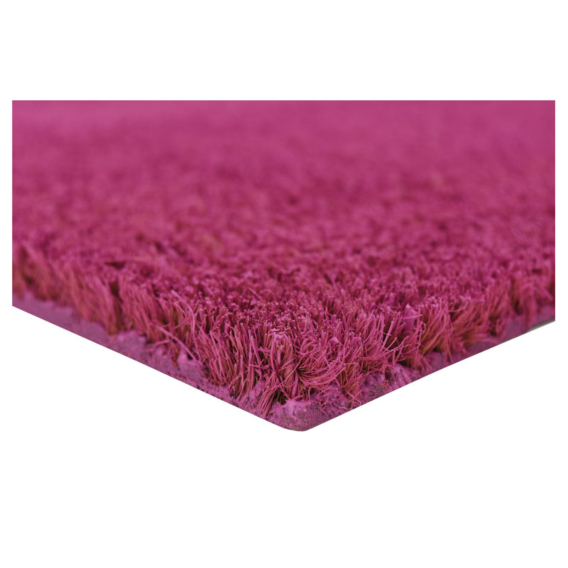 Tapis d'extérieur antidérapant Kasper, L 17 po x L 29 po, Magenta