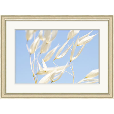 Chuchotement - Photographie sur papier