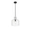 Luminaire suspendu 1 lumière avec abat-jour en verre Wrought Studio ™ Maitreya-1717485863