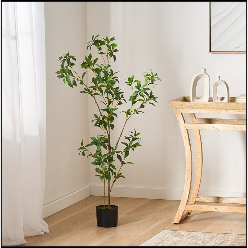 ARBRE À PIERIS 120CMTIFTIFS