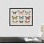 «Vintage Style Mute Pastel Butterflies II» par The Creative Bunch Studio, reproduction d'art encadrée-1326754691-1326754694