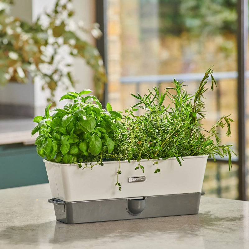 Cole & Mason Plant Trays/ Stands