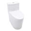 Toilette allongée monobloc 1,1 / 1,6 GPF à double chasse 12 po