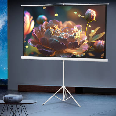 Vivohome Manual Projector Screen