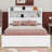Catelin Bookcase Bed-147906116