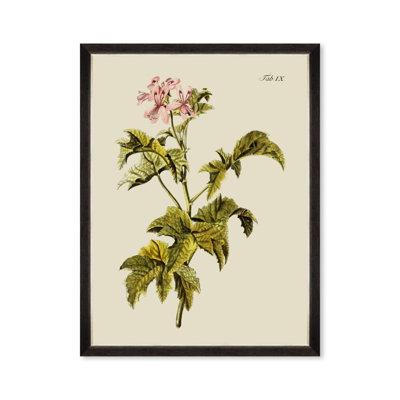 BOTANICAL III