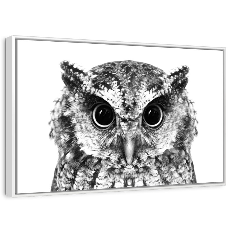 Hibou envoûtant, Cadre flottant blanc, 37 po x 25 po