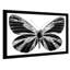 «Silver Butterfly (Horizontal)» par Jodi - impression-1135630466-1135630468