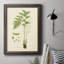 «Curtis Ferns I», reproduction sur toile encadrée-73987483