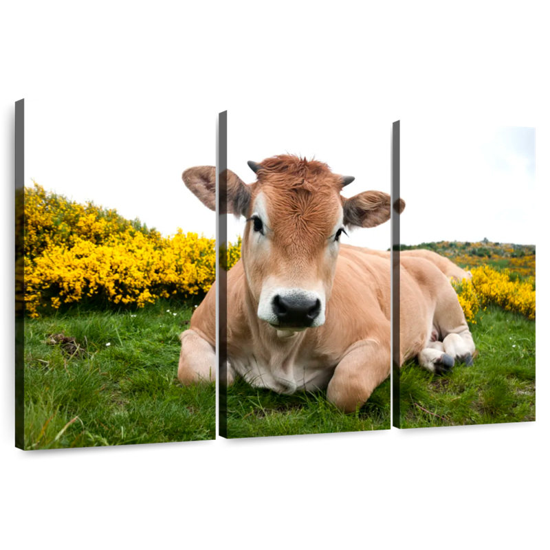 Brampt adorable vache Aubrac, H 32 po x l 50 po