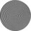 Wool Indoor Rug