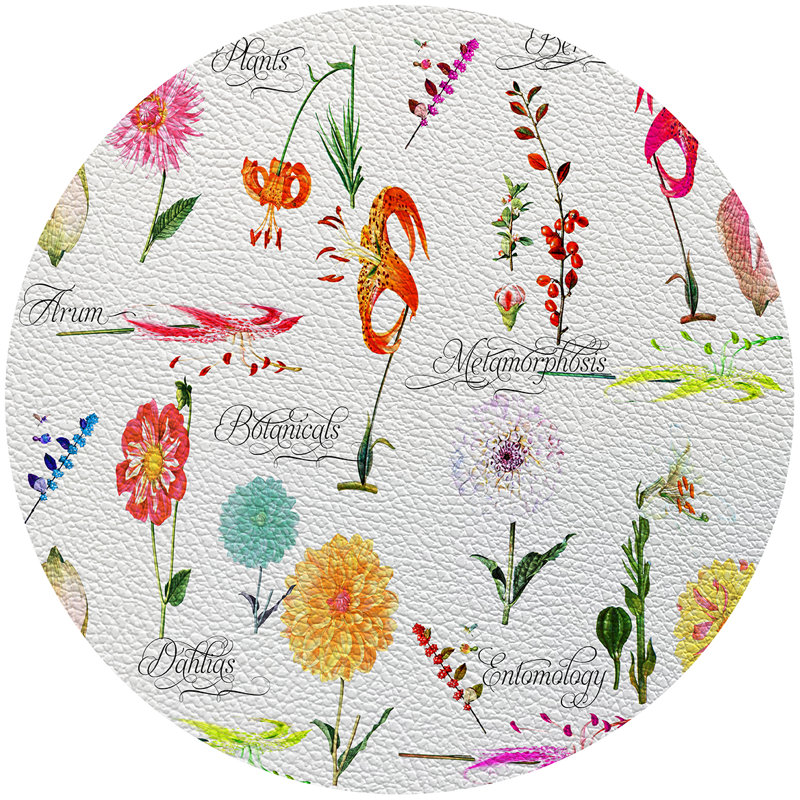 Napperon Botanicals