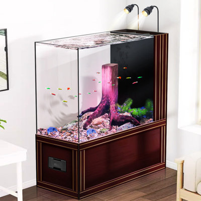 Aquarium 50-60 gallons