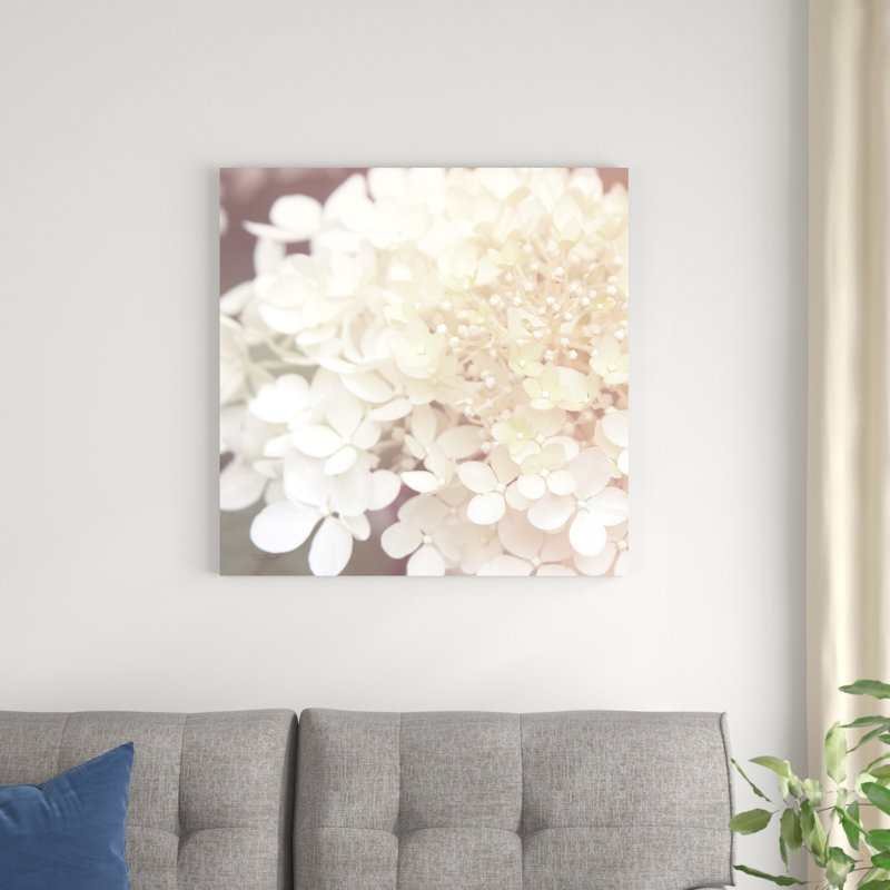 Hydrangea Dream II, H 30 po x l 30 po
