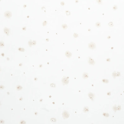 Schumacher x Porter Teleo Stellar Wallpaper