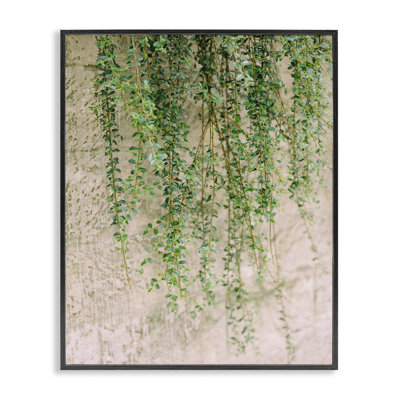 «Hanging Ivy Vines Art» par Justine Milton bg-080