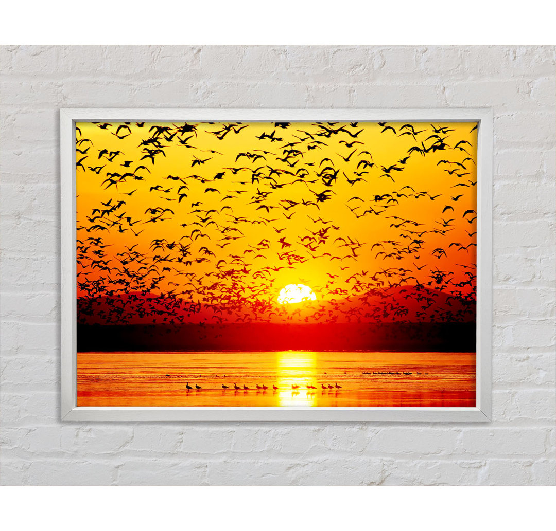 Die Vögel im goldenen Sonnenuntergang - Einzelner Bilderrahmen Kunstdrucke auf Leinwand