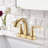 Centerset 2-handle Bathroom Faucet with Drain Assembly-55287427
