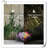 Decoration 3.6'' Solar Powered Integrated LED Lawn Ornament-101796805