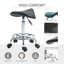 Rajmund Adjustable Height Ergonomic Lab Stool with Removable Casters/Wheels