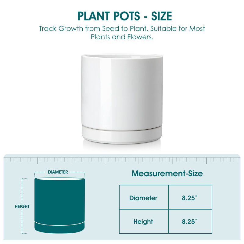 FLHPOT Ceramic Indoor Pot Planter, 21 cm H x 21 cm W x 21cm D