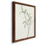 Spindle Sprig III - peinture sur toile encadrée-763254582-763254585
