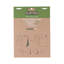 Earth bi-office environmentally friendly flipchart pad, recycled paper, 20 sheets