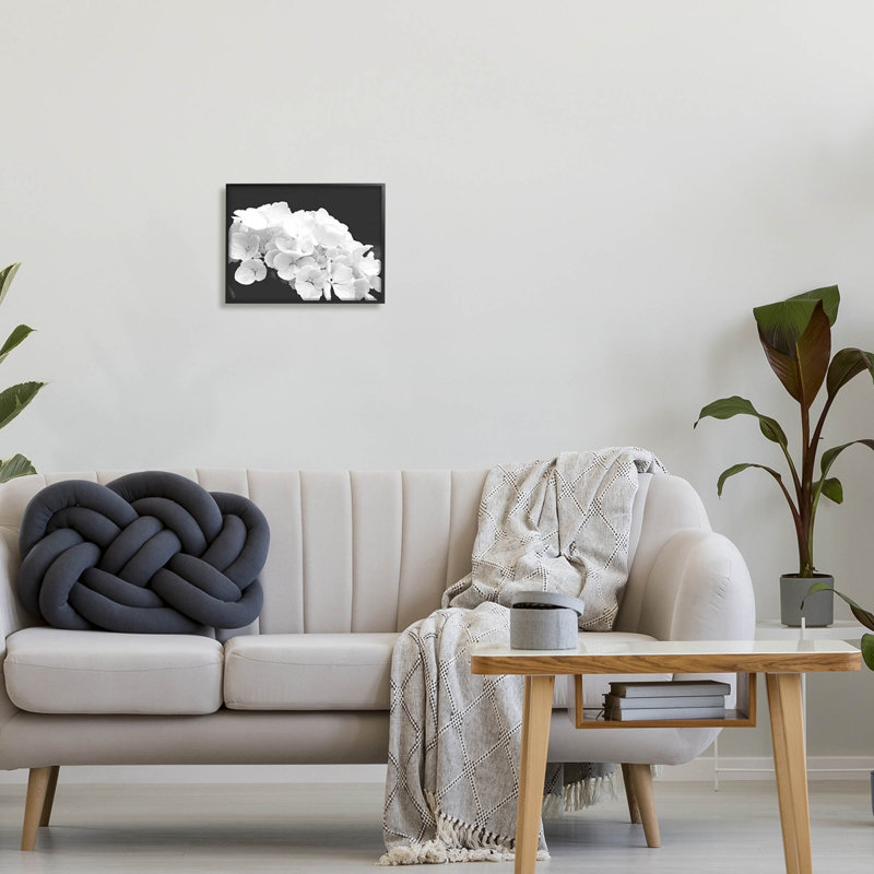 Délicat hortensia blanc, estampe numérique par Lil 'Rue, Giclée encadrée noir minuit, H 11 po x l 14 po x P 1,5 po