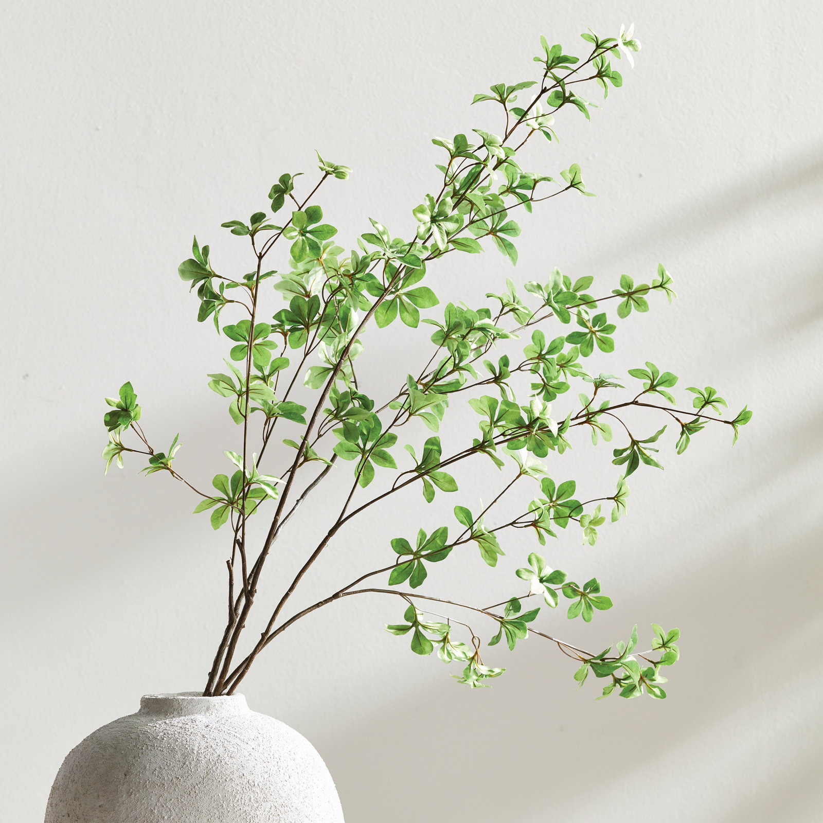 Iggy JAPANESE DODAN BRANCH 50"