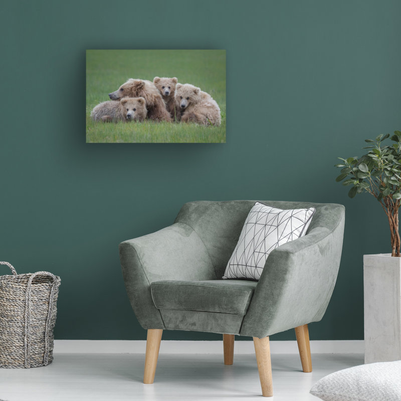 Art sur toile Renee Doyle Bear Huddle, H 12 po x l 19 po