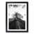 Black Framed selected