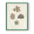 Green Single Picture Framed