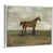 White Framed Canvas is unavailable