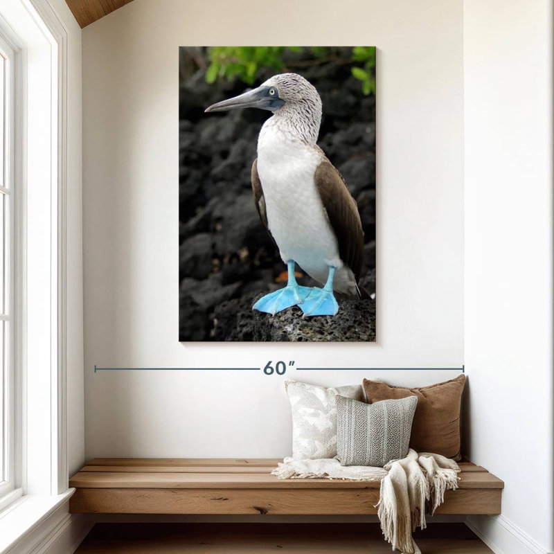 Brampt Blue-Footed Booby Birds, 48" H x 32" W