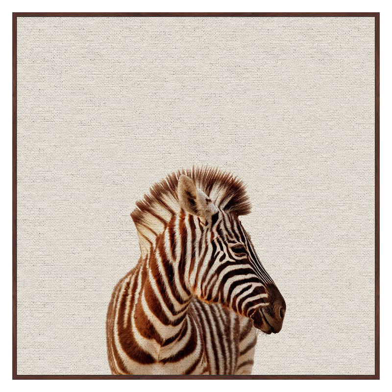 Zebra Side View - Drawing on Canvas, 30cm H x 30cm W x 4cm D