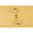 SARA Wall Sconce by Home Ec.