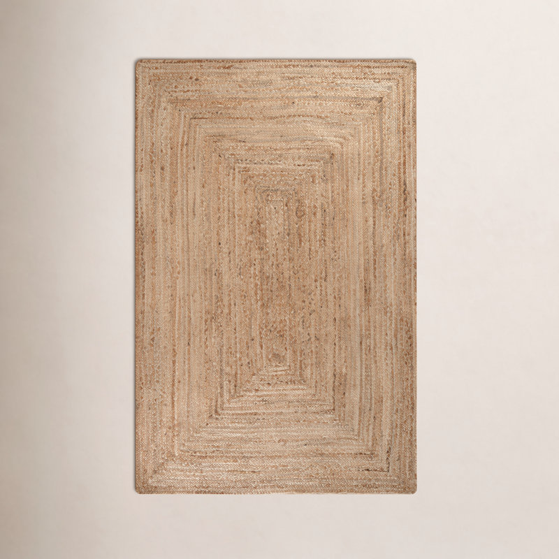 Gage Hand Braided Indoor Rug, Rectangle 3' x 5'