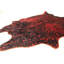 Tapis rouge à imprimé animal Bourdieu