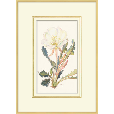 Blooming Study 4 Print