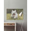 1 Piece Wrapped Canvas Wall Art-36804144