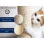 Odell 40 cm H Cat Scratchers