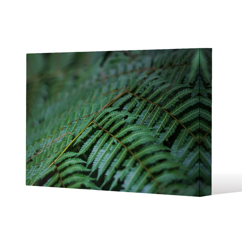 leaves pattern and texture at Indonesia Slim Style Canvas Print, 15mm Slim Real wood., 70 cm H x 100 cm W