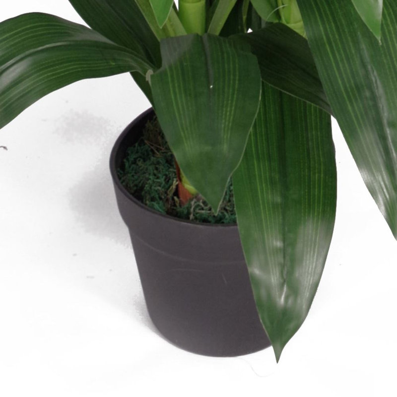 100cm Artificial Plant in Pot Liner, Purple