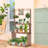 Eliza-May Wood Weather Resistant Plant Stand