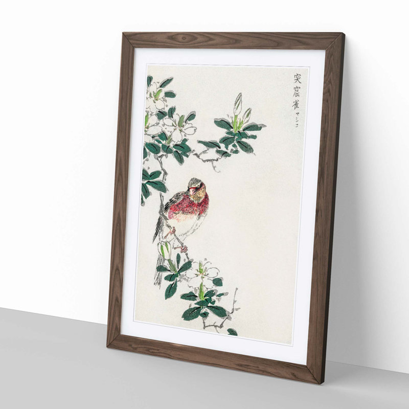 Japanese Long-Tailed Rosefinch by Numata Kashu - Framed Print, Walnut Framed, 48cm H x 36cm W x 2cm D
