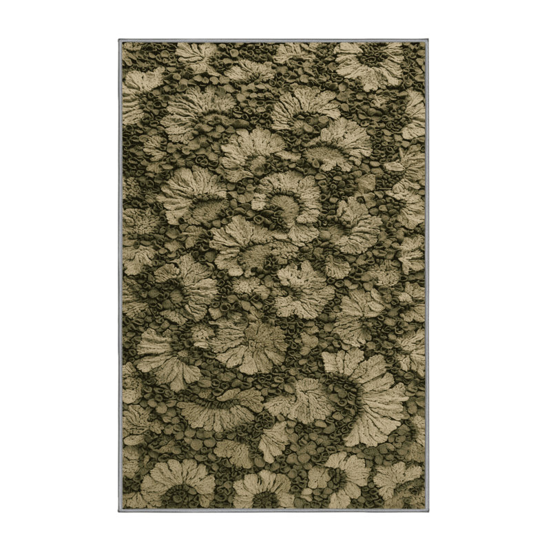 Machine Washable Botanical Brown Area Rug, Rectangle 2' x 3'